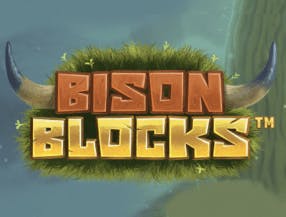 classifica챌천es de bol챠var