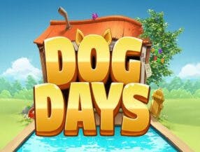 assistir tv online gratis max prime e