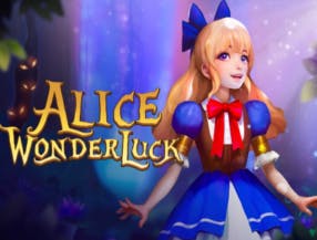 spin247 casino 100 free spins