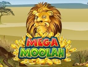 icebet
